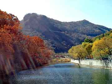 新澳天天开奖资料大全旅游团，氢氧化钾价格